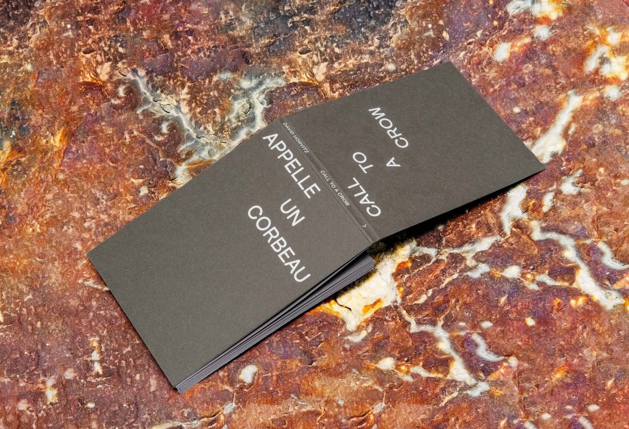 David Horvitz | Call To A Crow – Appelle Un Corbeau | Avec 4 cartes postales - KaPaBooks