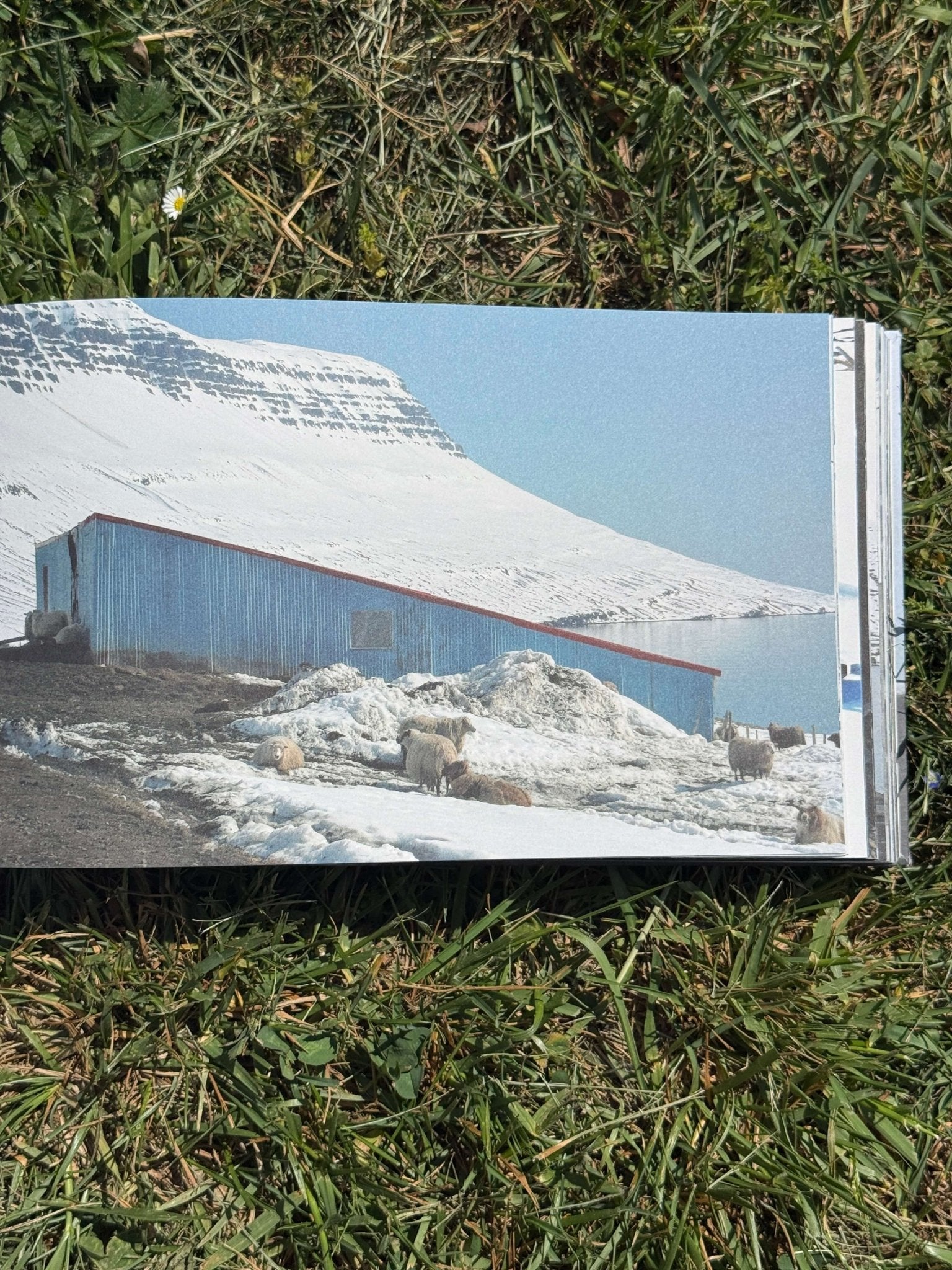 Silvia Bächli & Eric Hattan | Blindhædir – East Iceland - KaPaBooks