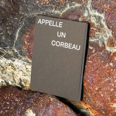 David Horvitz | Call To A Crow – Appelle Un Corbeau | Avec 4 cartes postales