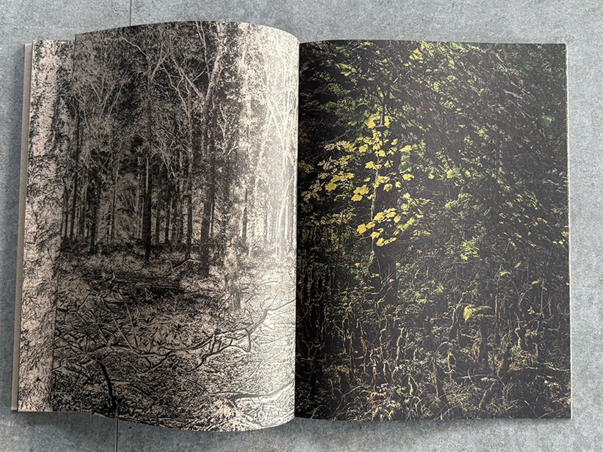 HUBERT HUMKA | ETERNAL U - KaPaBooks