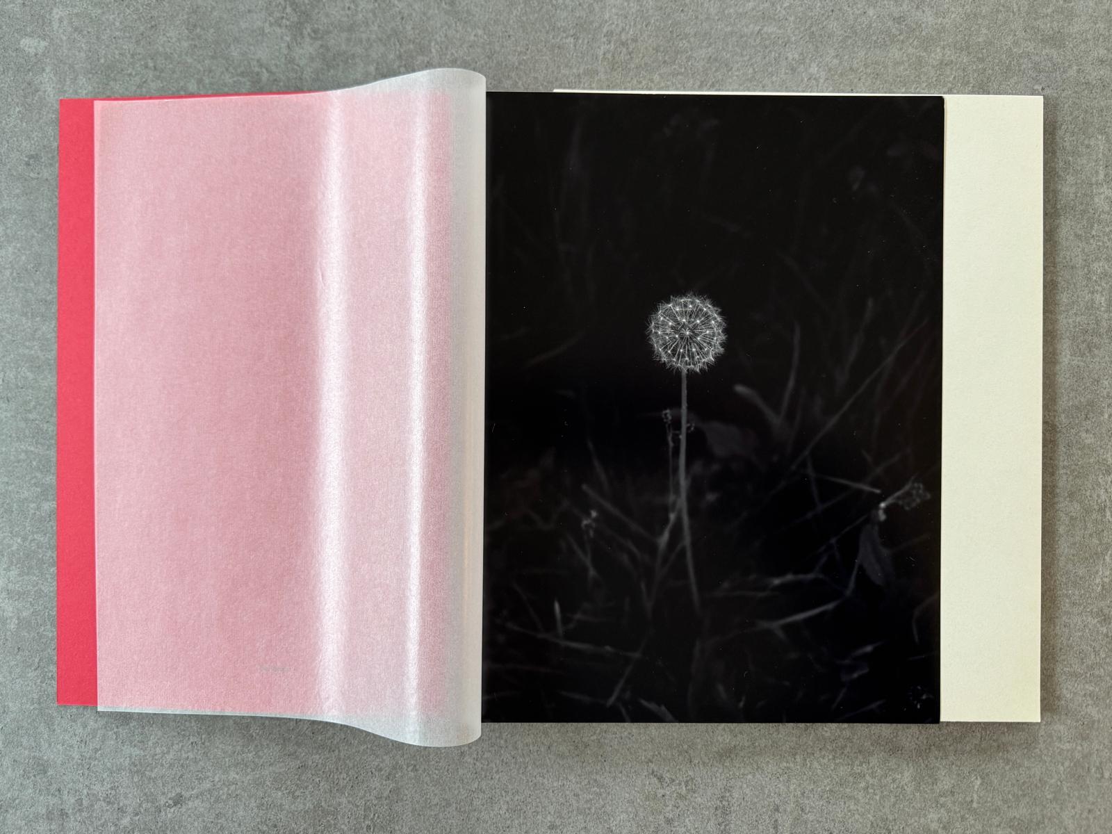 Geert Goiris - Prolifération, 2014 - avec édition de tête - KaPaBooks