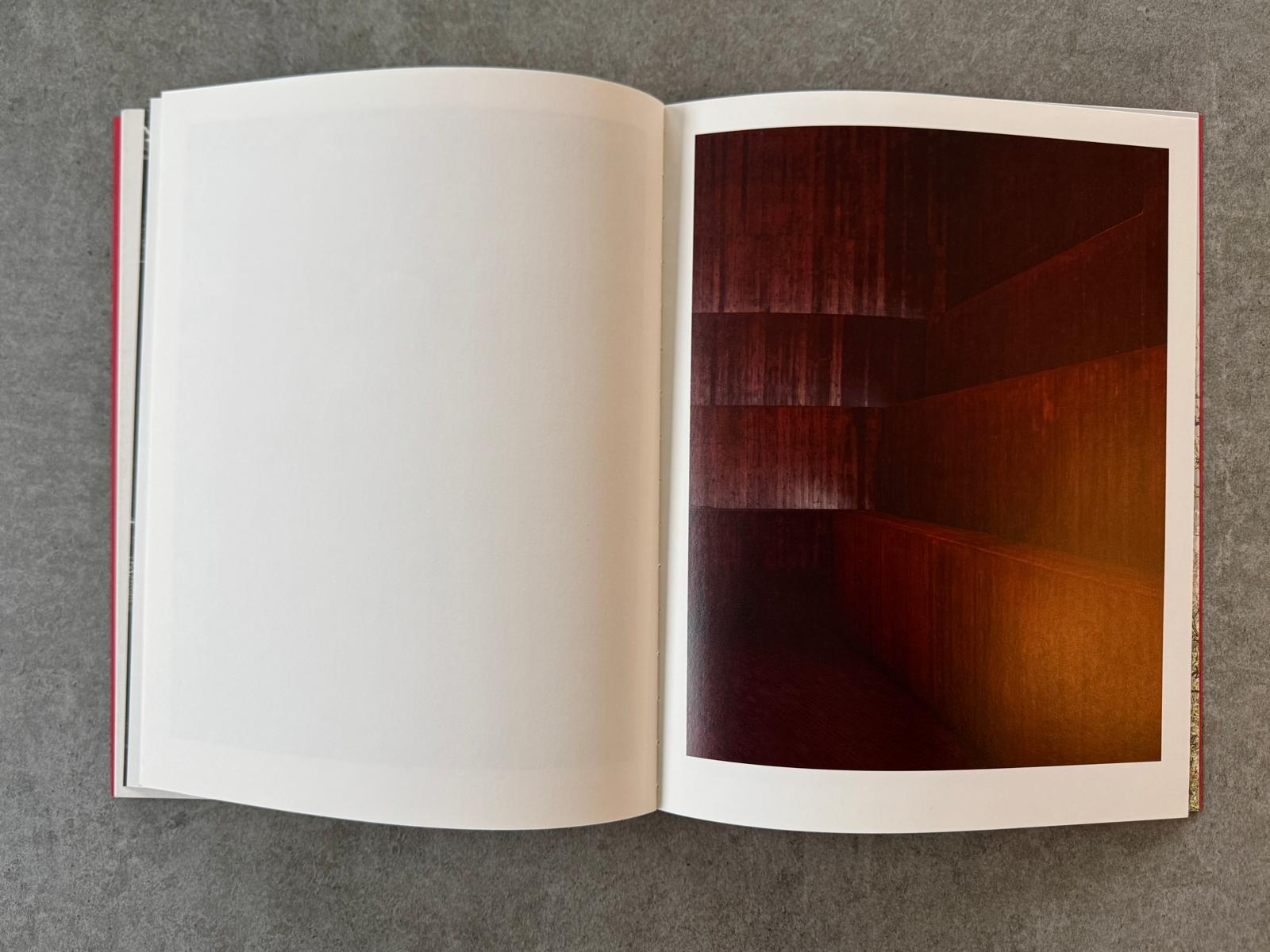 Geert Goiris - Prolifération, 2014 - avec édition de tête - KaPaBooks