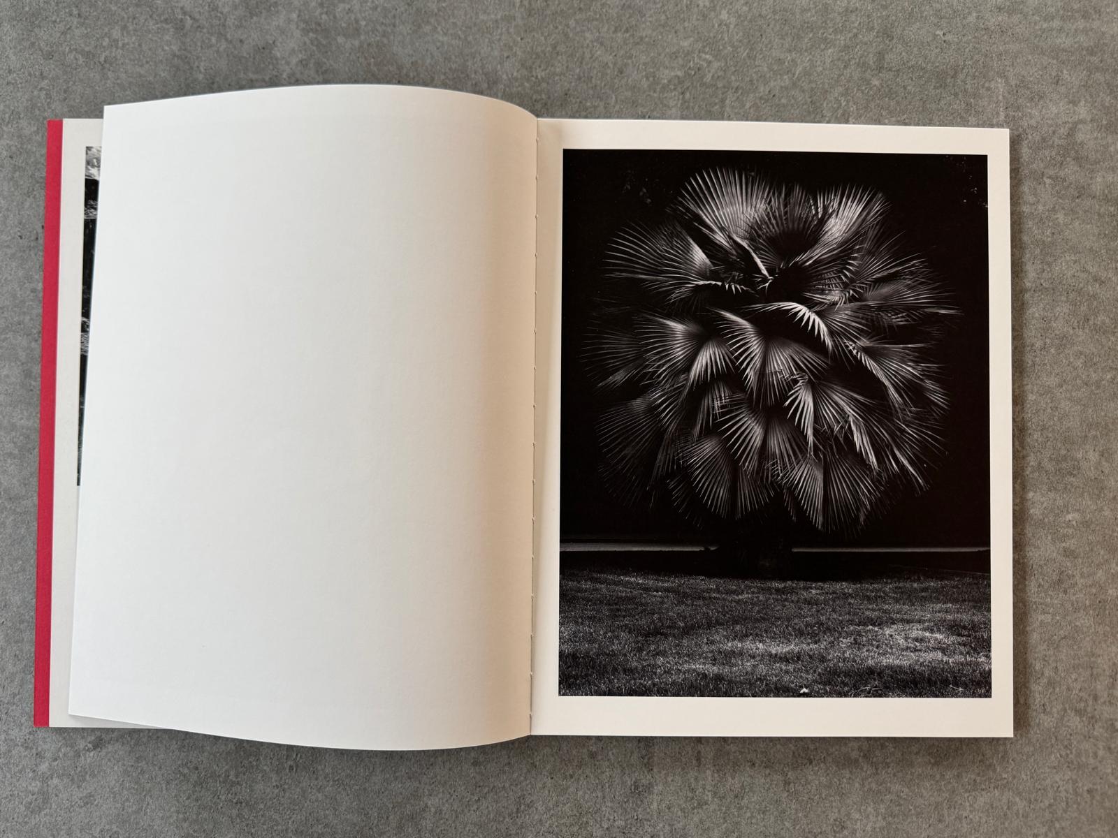 Geert Goiris - Prolifération, 2014 - avec édition de tête - KaPaBooks