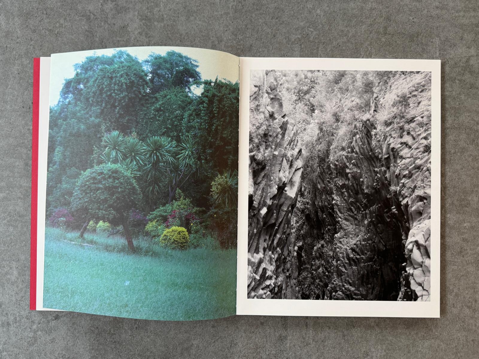 Geert Goiris - Prolifération, 2014 - avec édition de tête - KaPaBooks