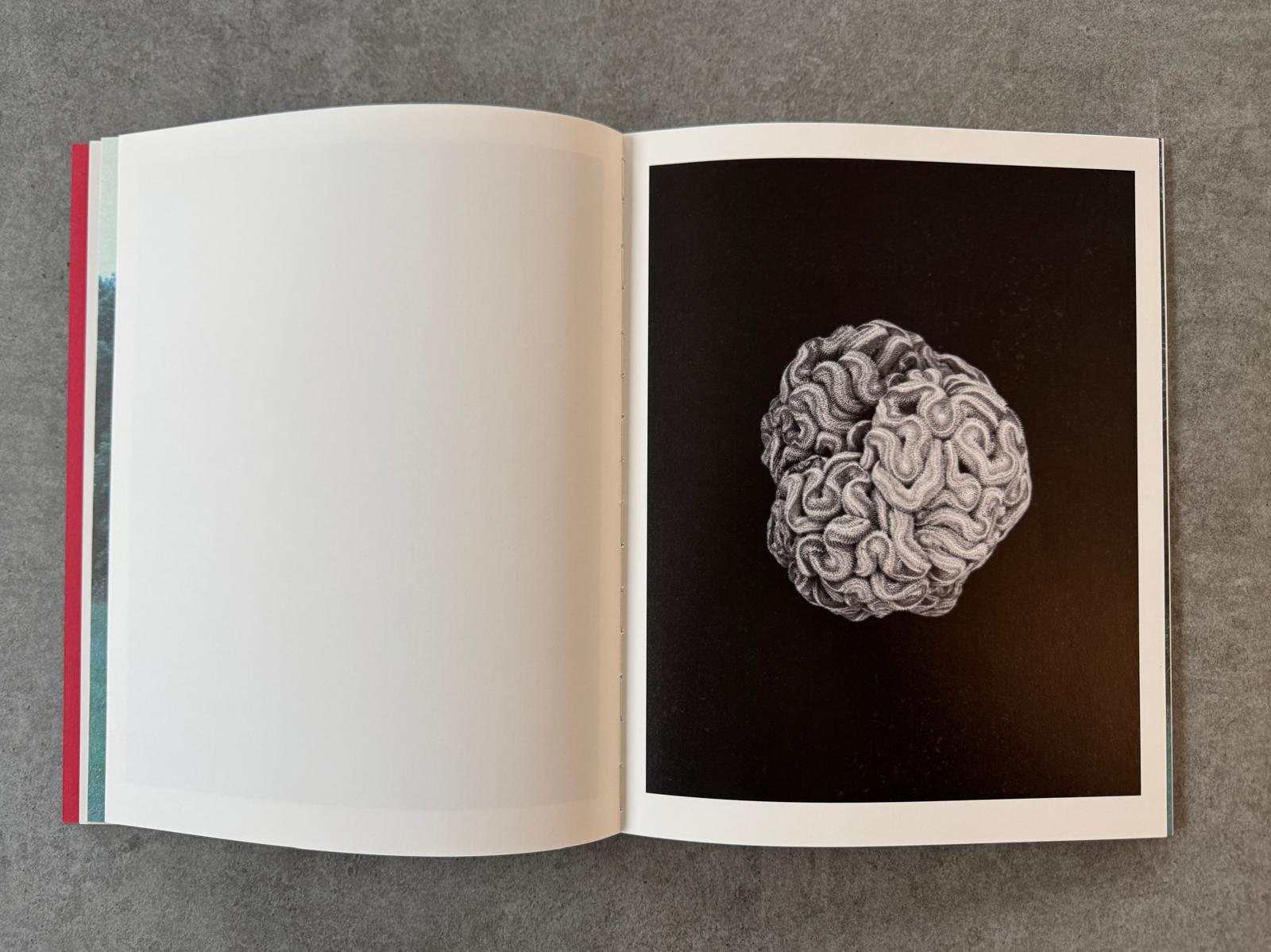 Geert Goiris - Prolifération, 2014 - avec édition de tête - KaPaBooks