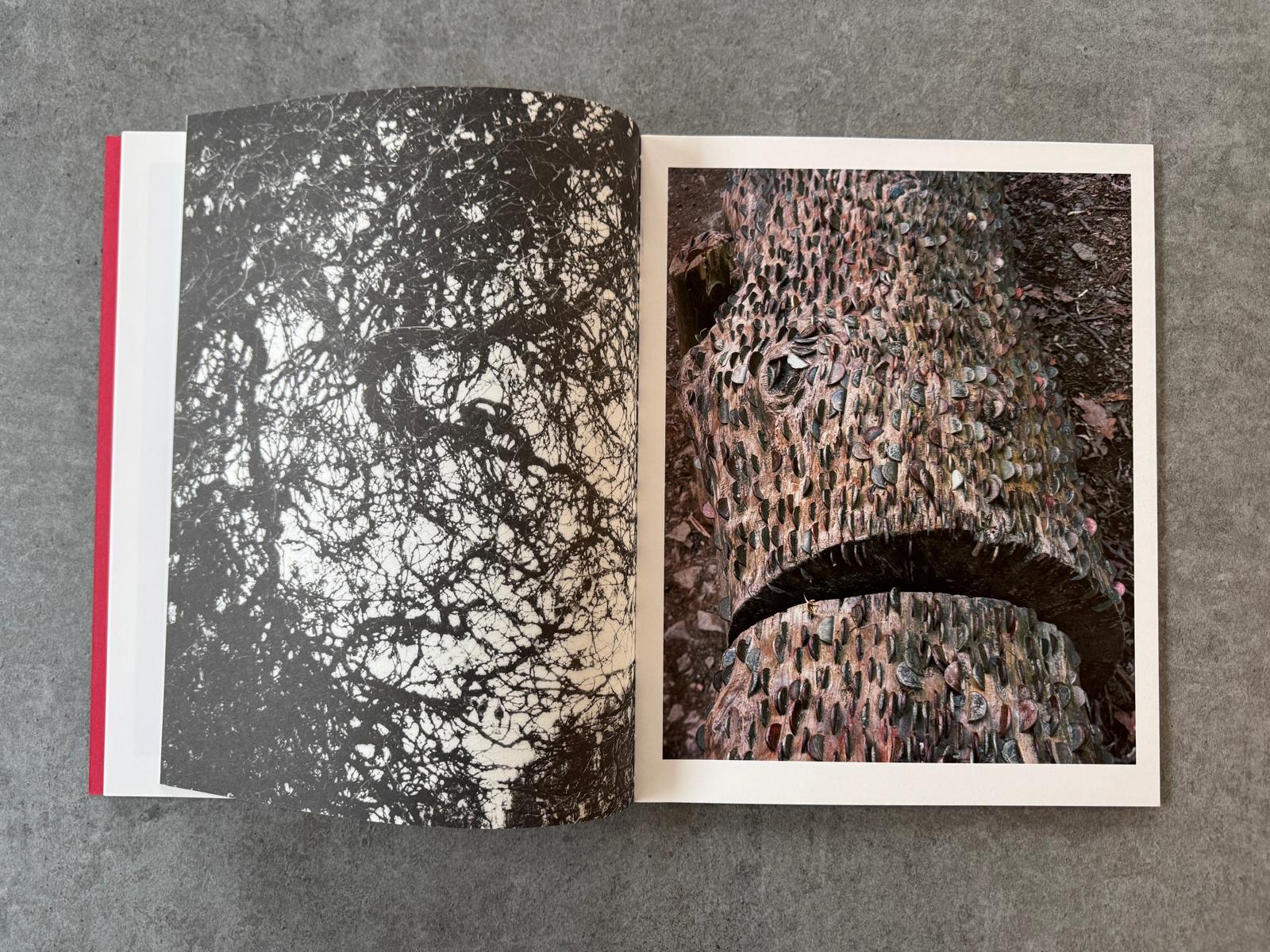 Geert Goiris - Prolifération, 2014 - avec édition de tête - KaPaBooks