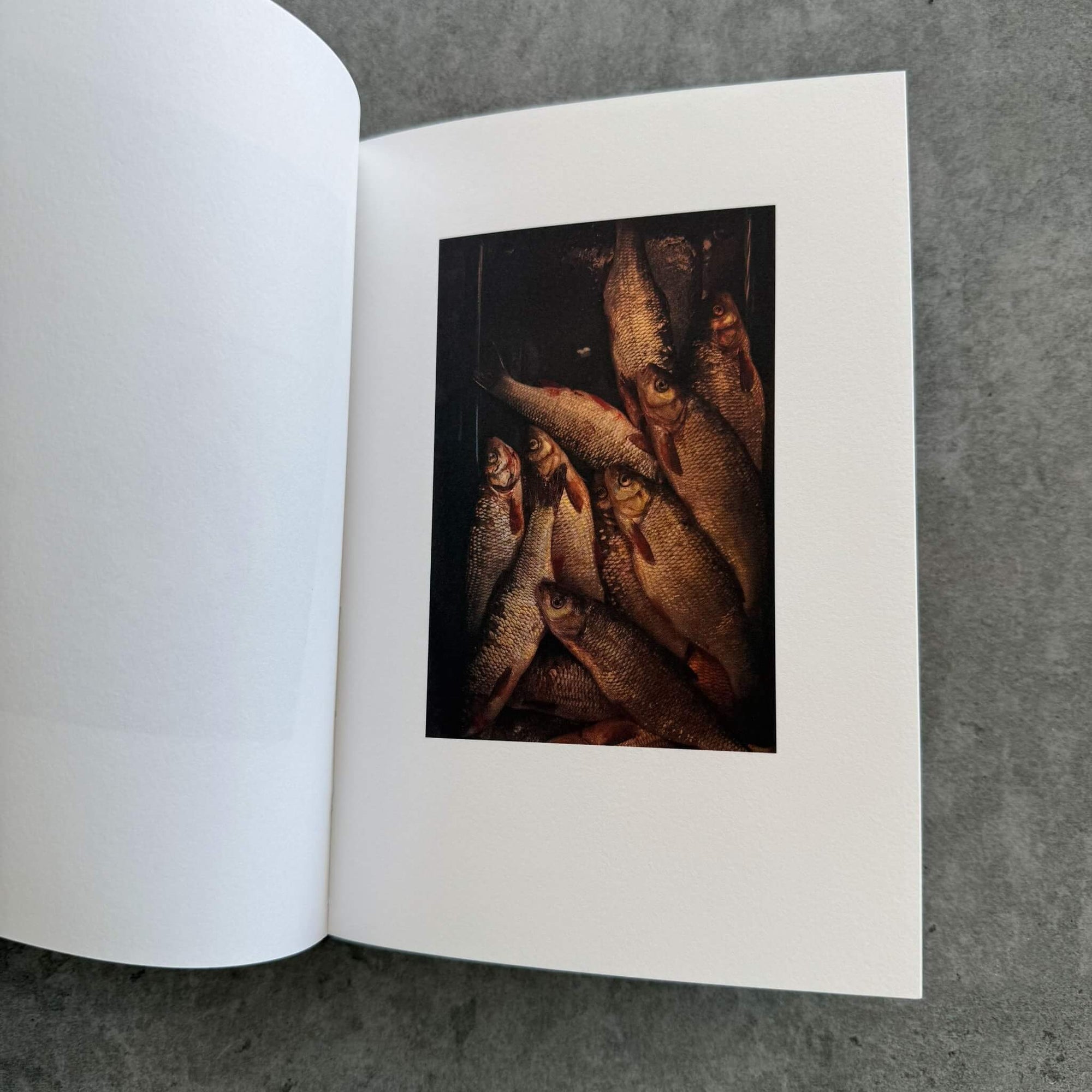 Nina Weymann | Searching for the old bearded fisherman - KaPaBooks