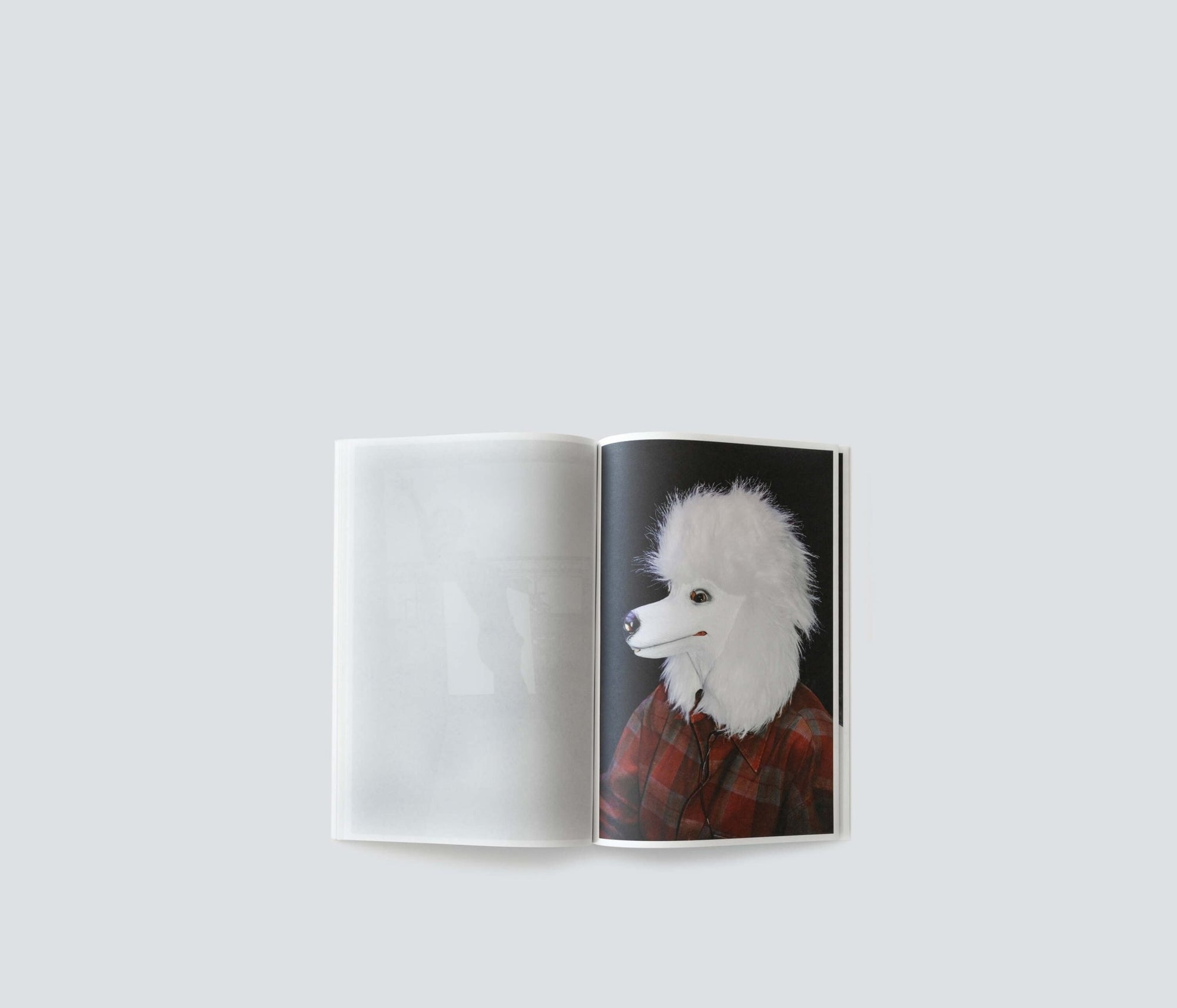 Alexandra Bachzetsis | Rush(es) - KaPaBooks