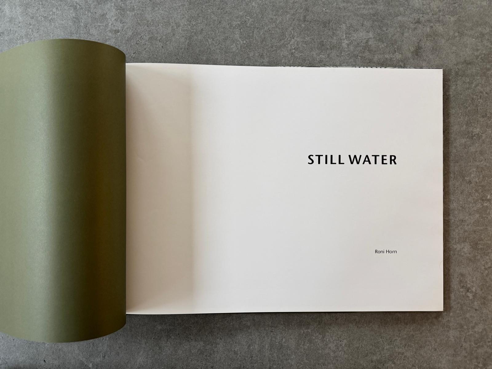 Roni Horn | Still Water | 1ère édition - KaPaBooks