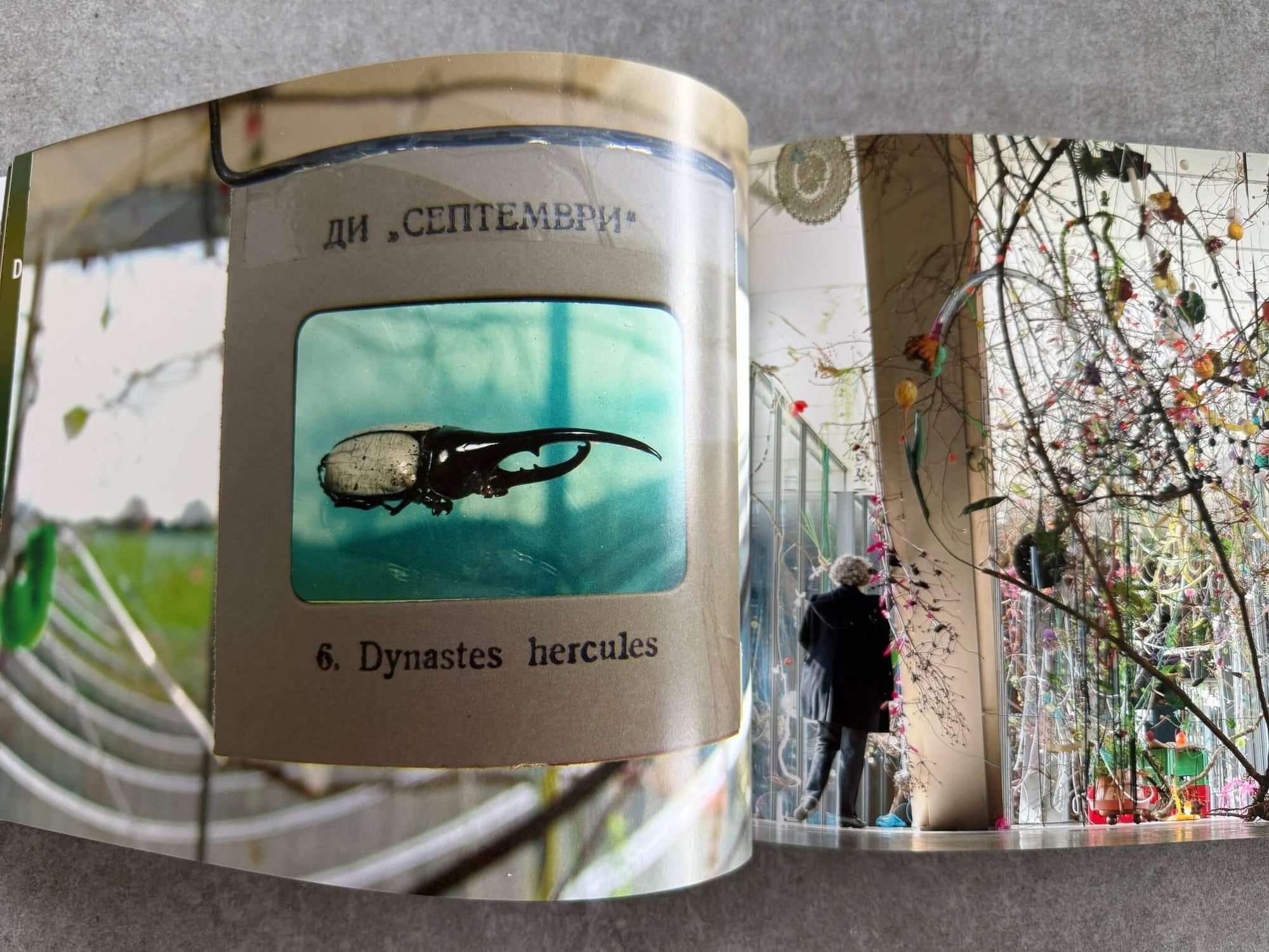 Gerda Steiner & Jörg Lenzlinger | The mystery of fertility | SIGNÉ - KaPaBooks