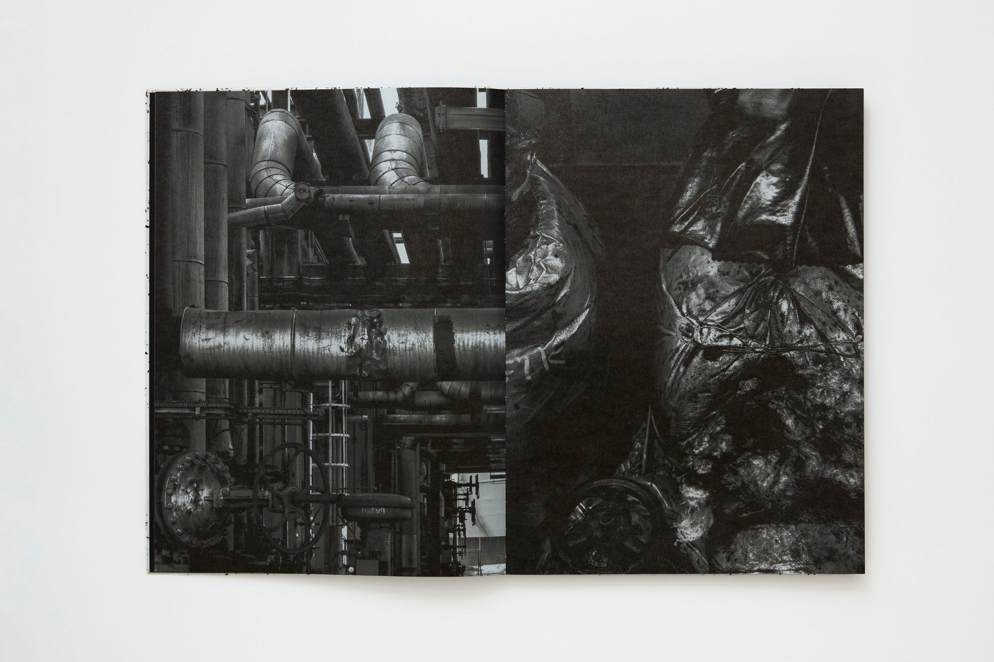 VINCENT JENDLY | One Millimeter of Black Dirt, and a Veil of Dead Cows - KaPaBooks