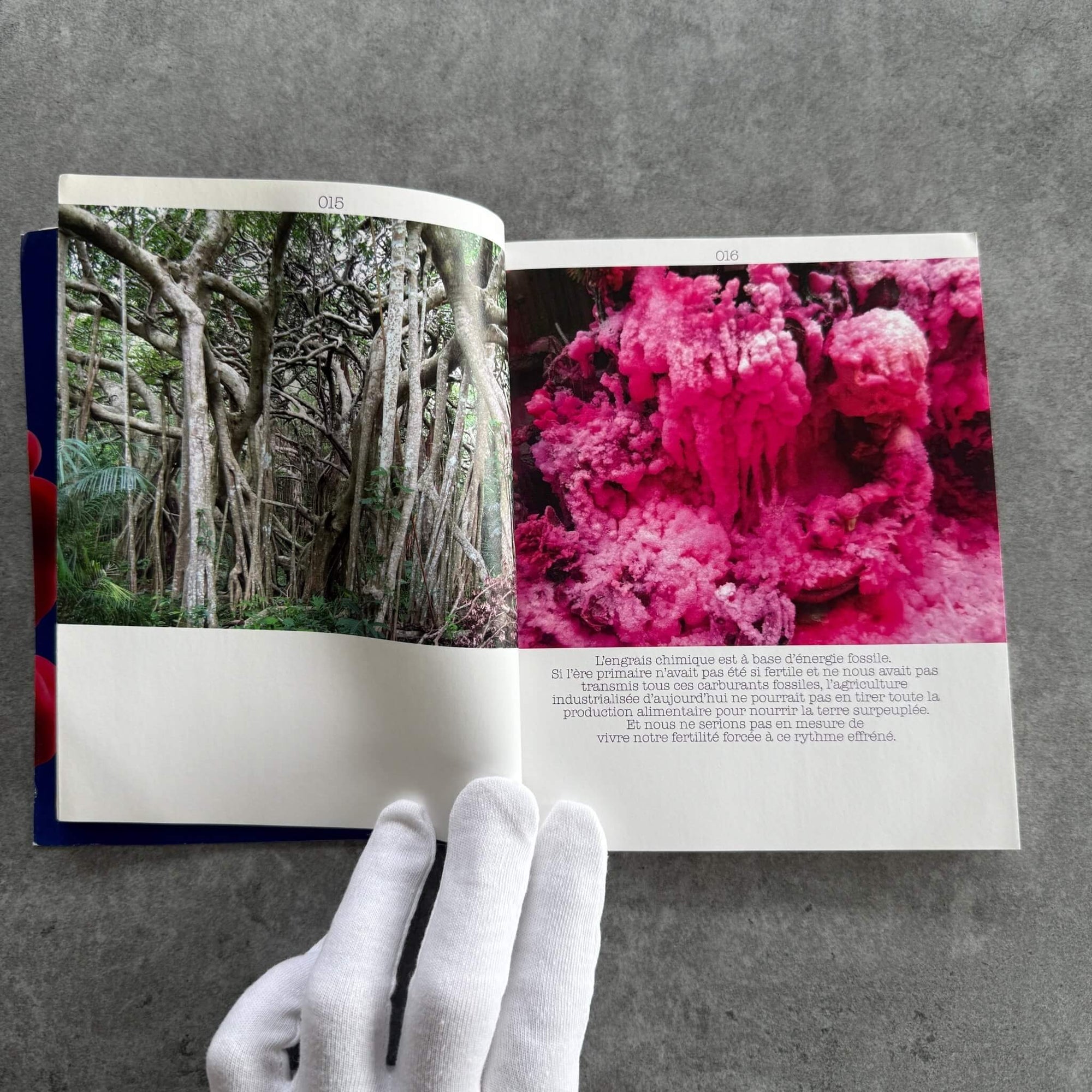 Gerda Steiner & Jörg Lenzlinger | Comment rester fertile ? | SIGNÉ - KaPaBooks