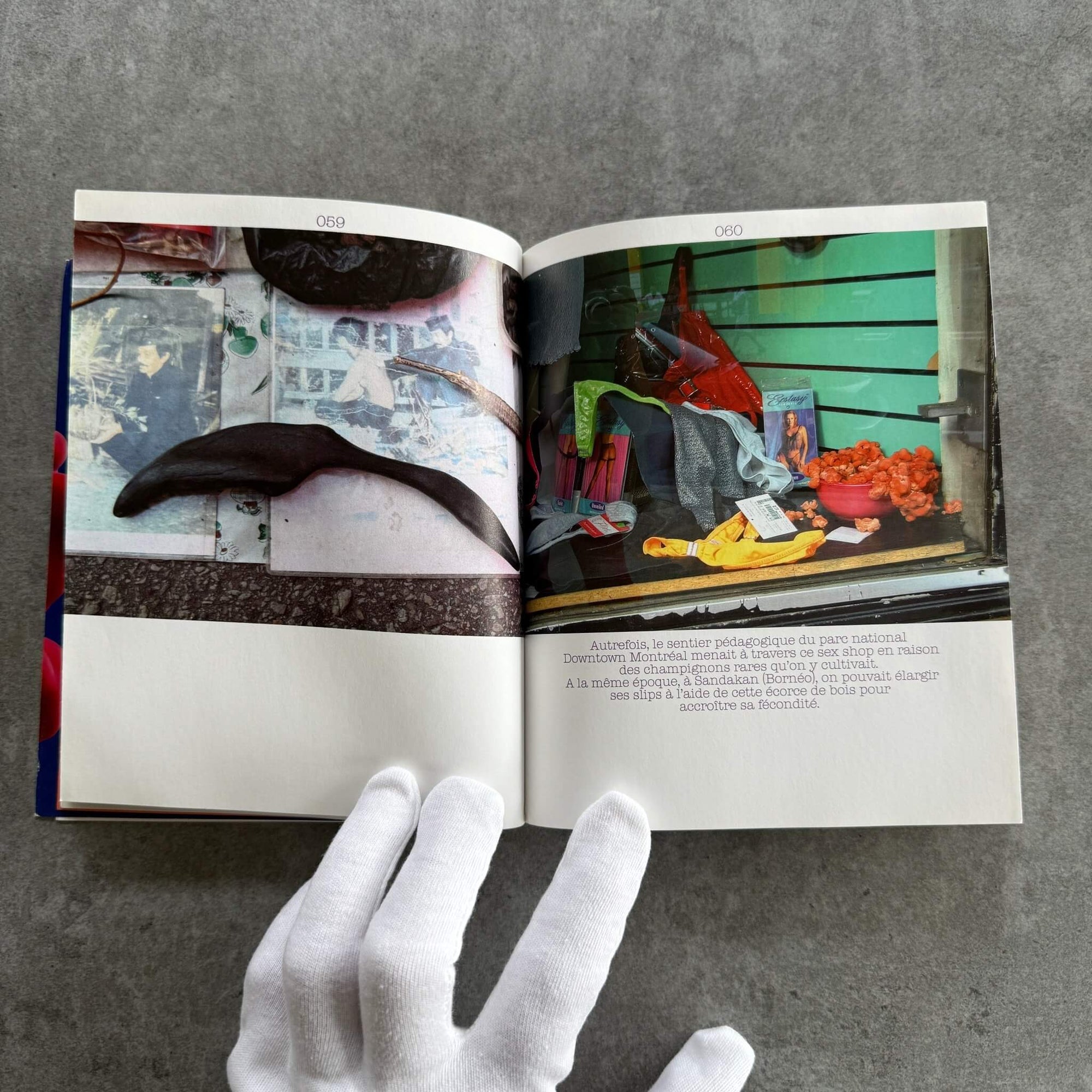 Gerda Steiner & Jörg Lenzlinger | Comment rester fertile ? | SIGNÉ - KaPaBooks